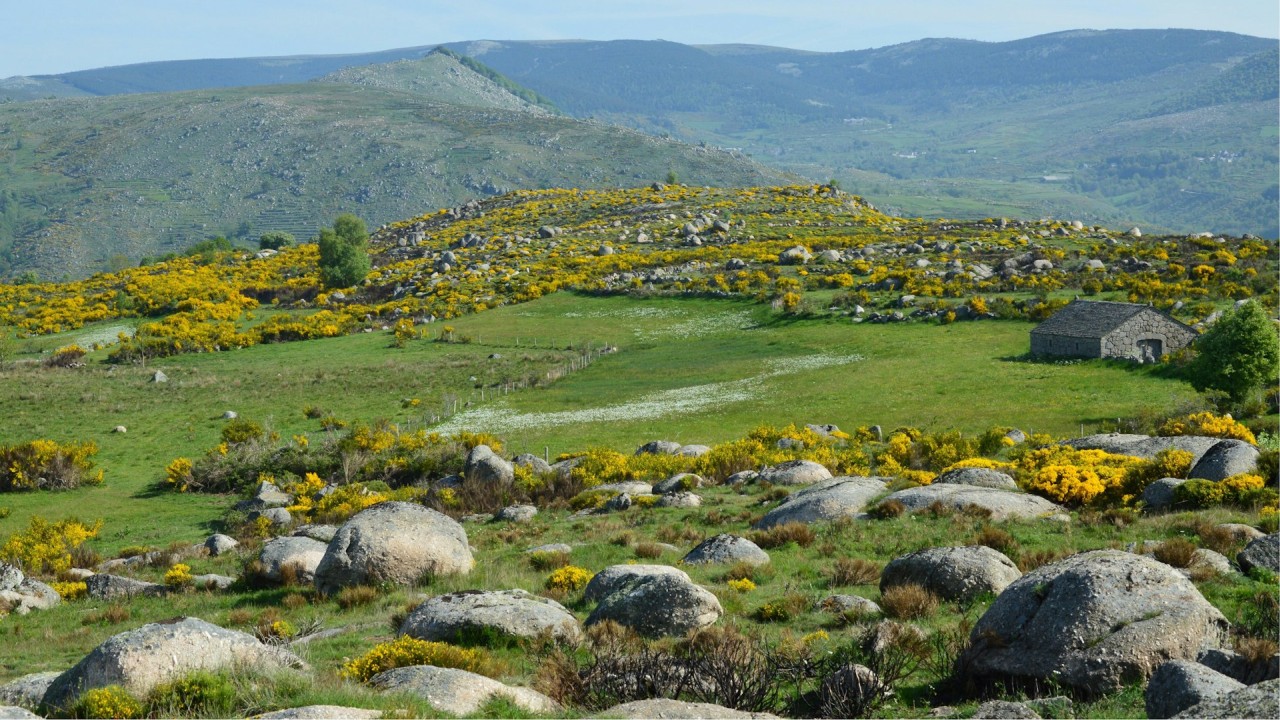Mont Lozère
