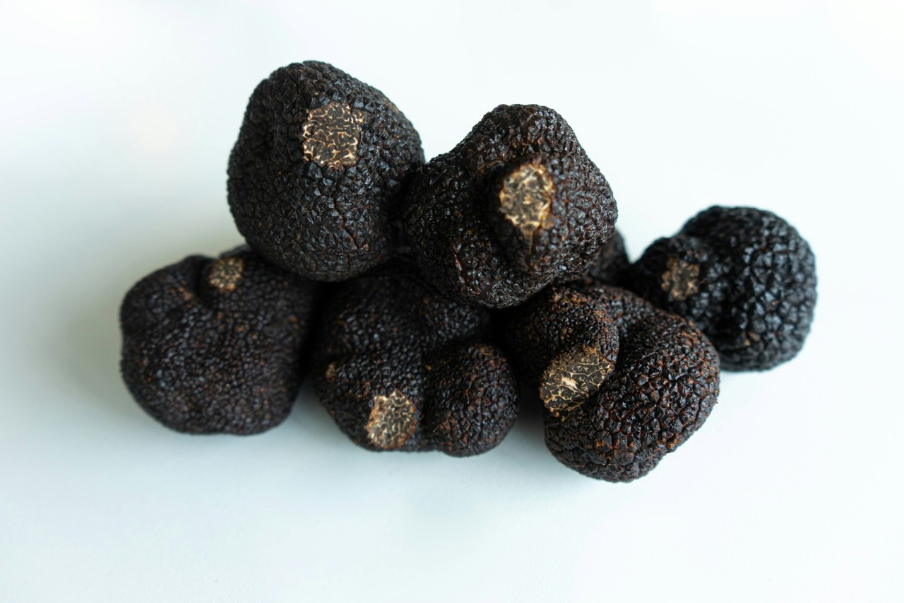 La truffe noire du Périgord