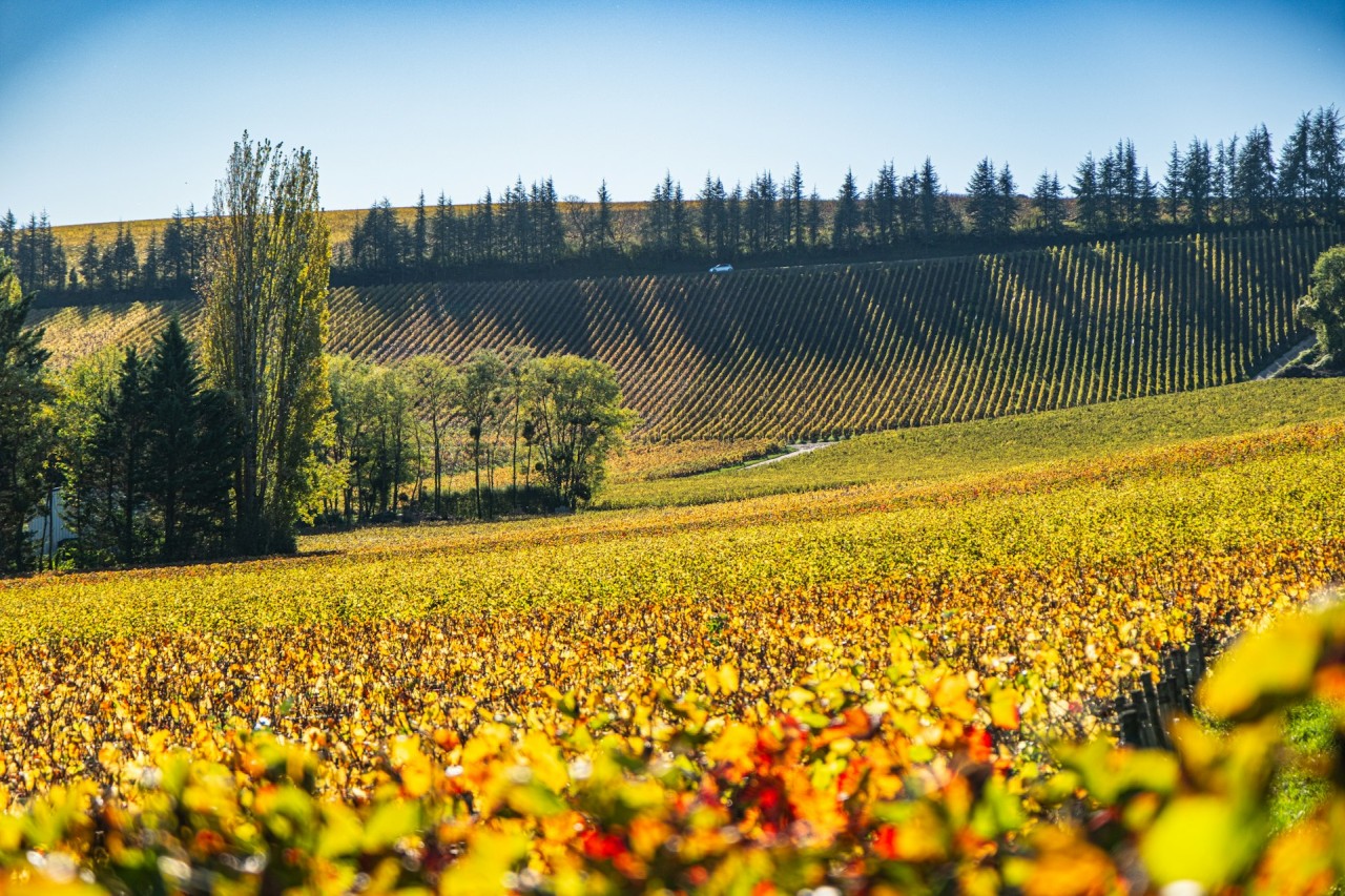 Le val-de-Loire en automne